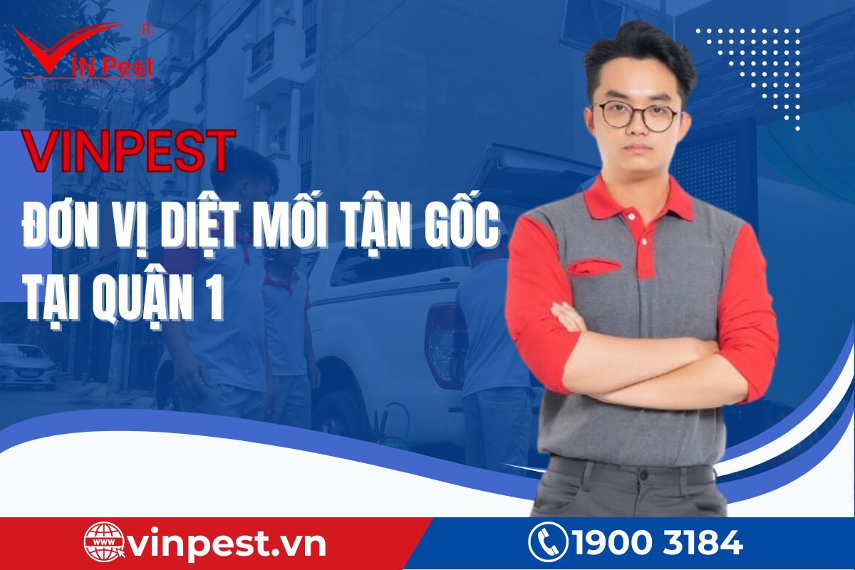VinPest - Đơn vị diệt mối tận gốc tại Quận 1