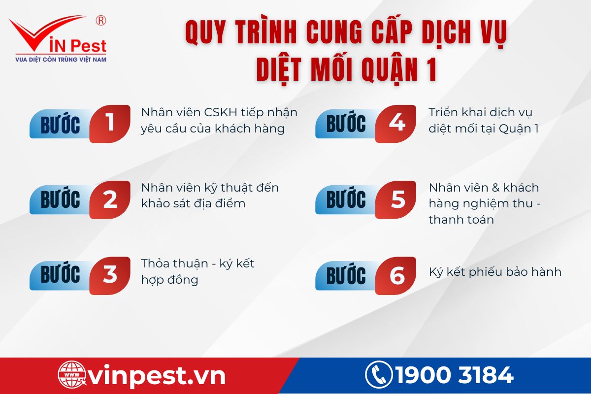 Quy trình VinPest cung cấp dịch vụ diệt mối tại Quận 1