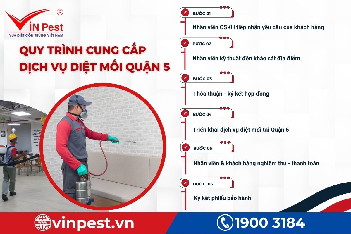 Quy trình VinPest cung cấp dịch vụ diệt mối Quận 5