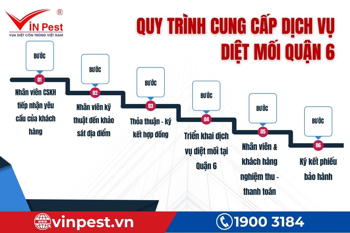 Quy trình VinPest thực hiện diệt mối tại Quận 6