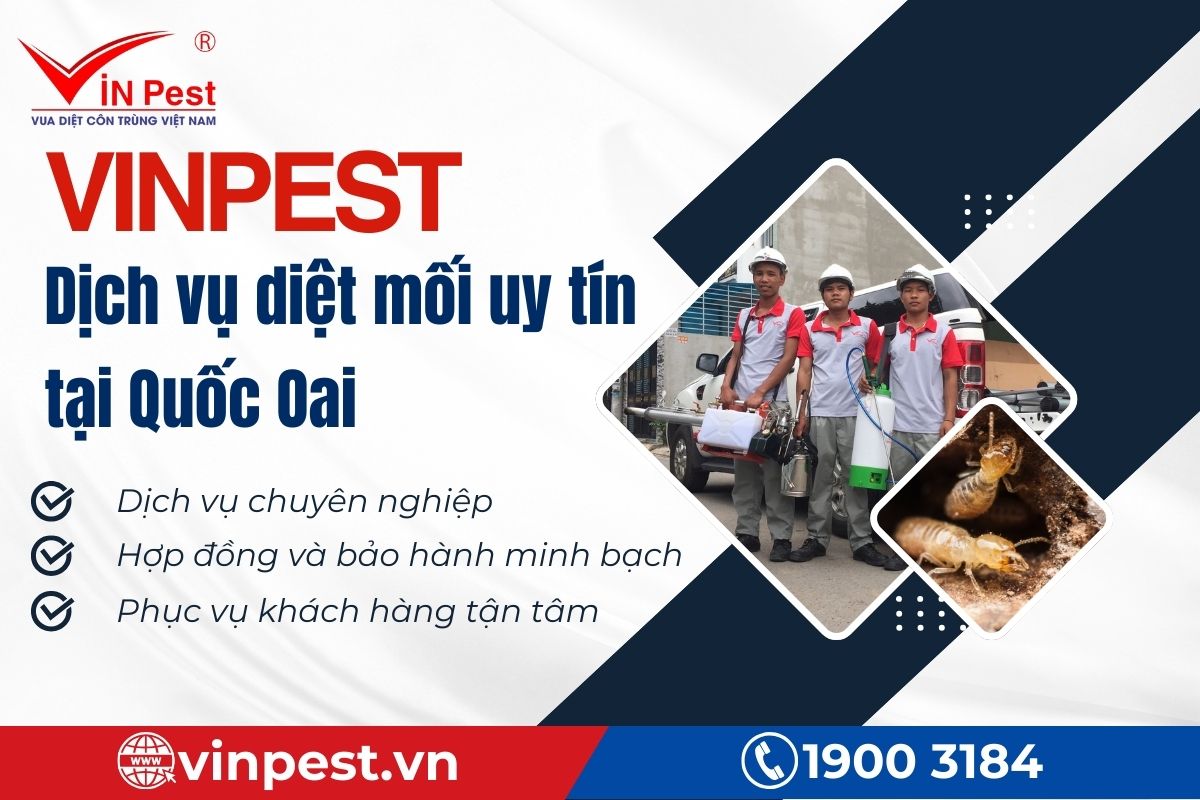 Cảnh báo dịch vụ diệt mối lừa đảo tại Quốc Oai