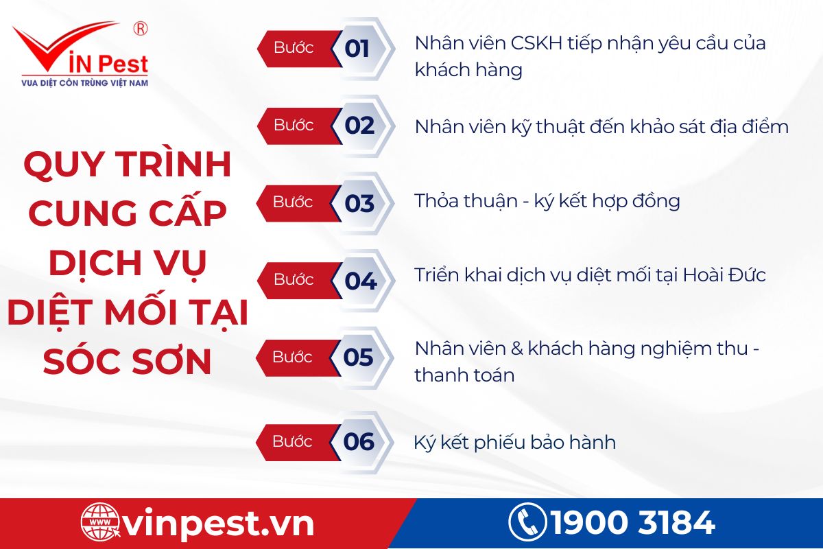 Quy trình diệt mối chuyên nghiệp ở Sóc Sơn tại VinPest