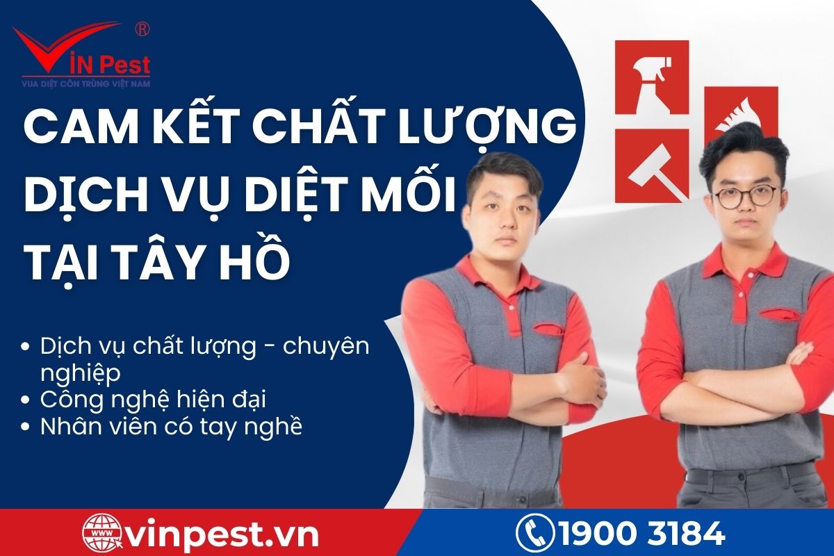 Cam kết dịch vụ diệt mối Tây Hồ tại VinPest