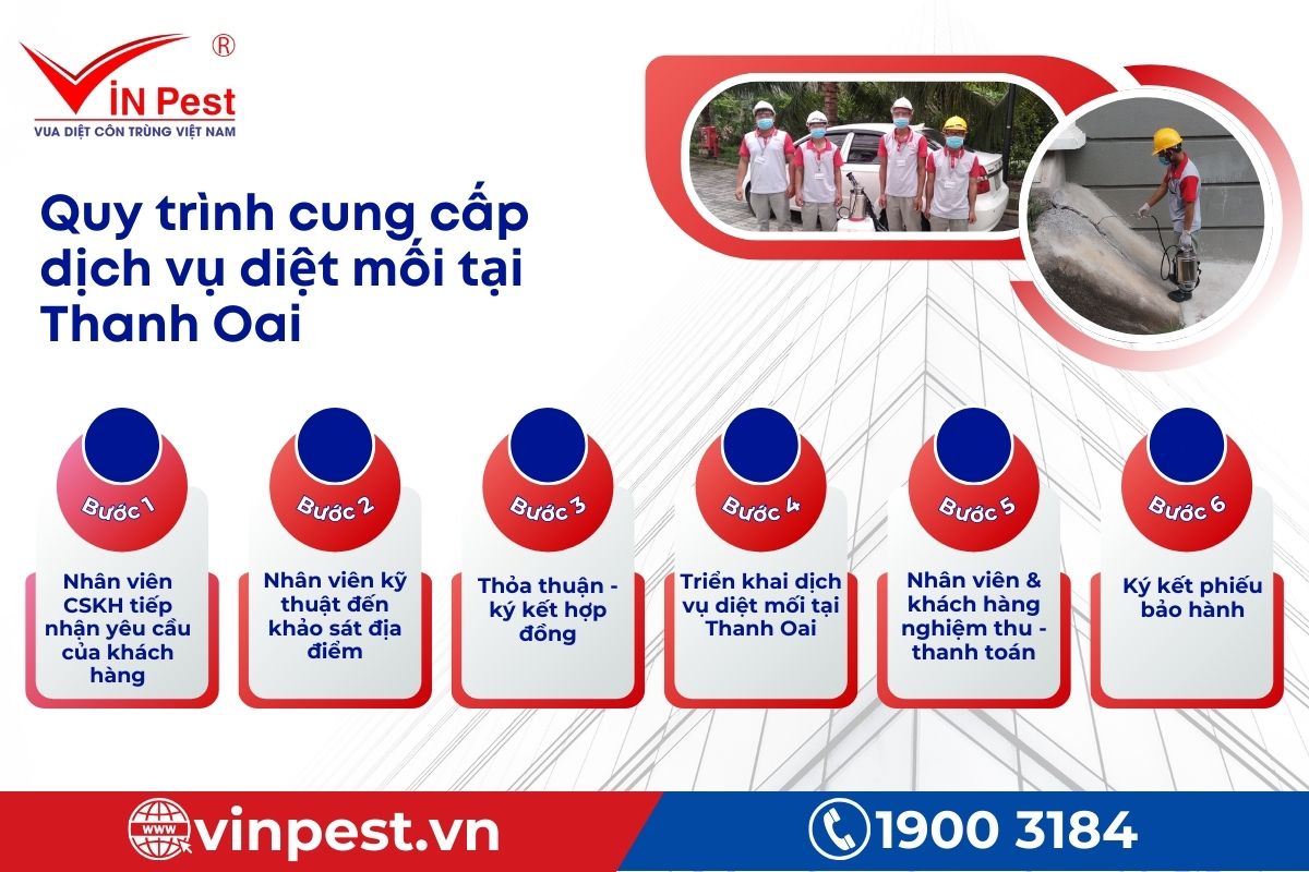 VinPest cung cấp quy trình diệt mối tại Thanh Oai