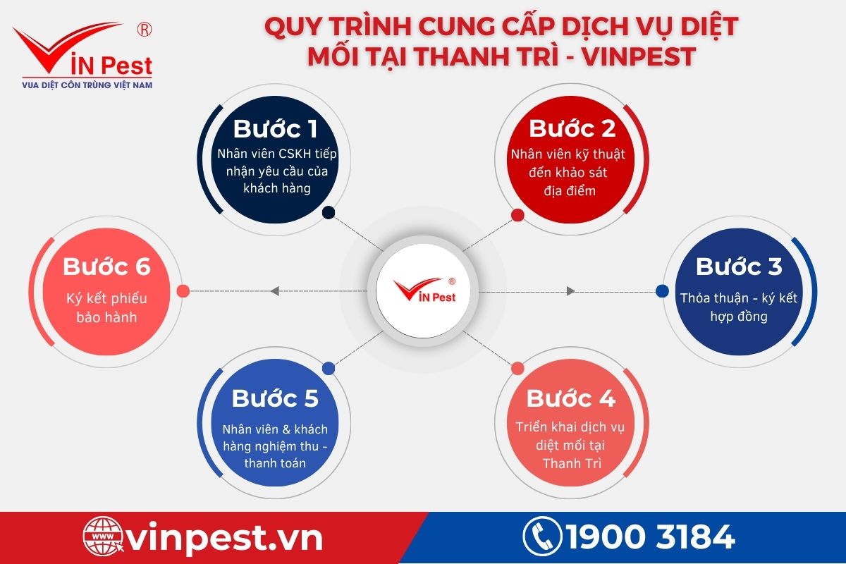 Quy trình cung cấp dịch vụ diệt mối tại Thanh Trì của VinPest