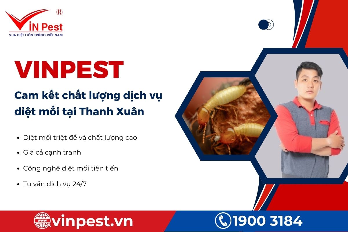 Cam kết dịch vụ diệt mối tại Thanh Xuân - VinPest