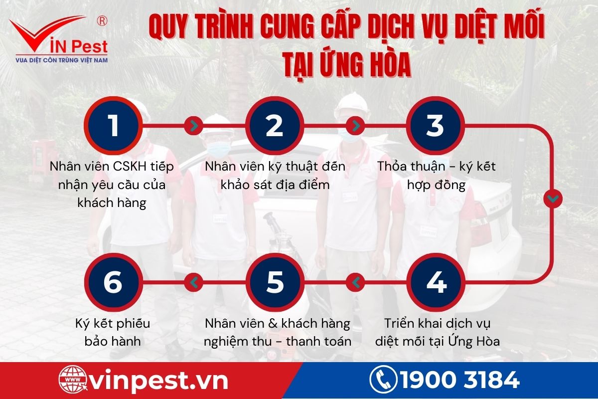 Quy trình cung cấp dịch vụ diệt mối Ứng Hòa của VinPest