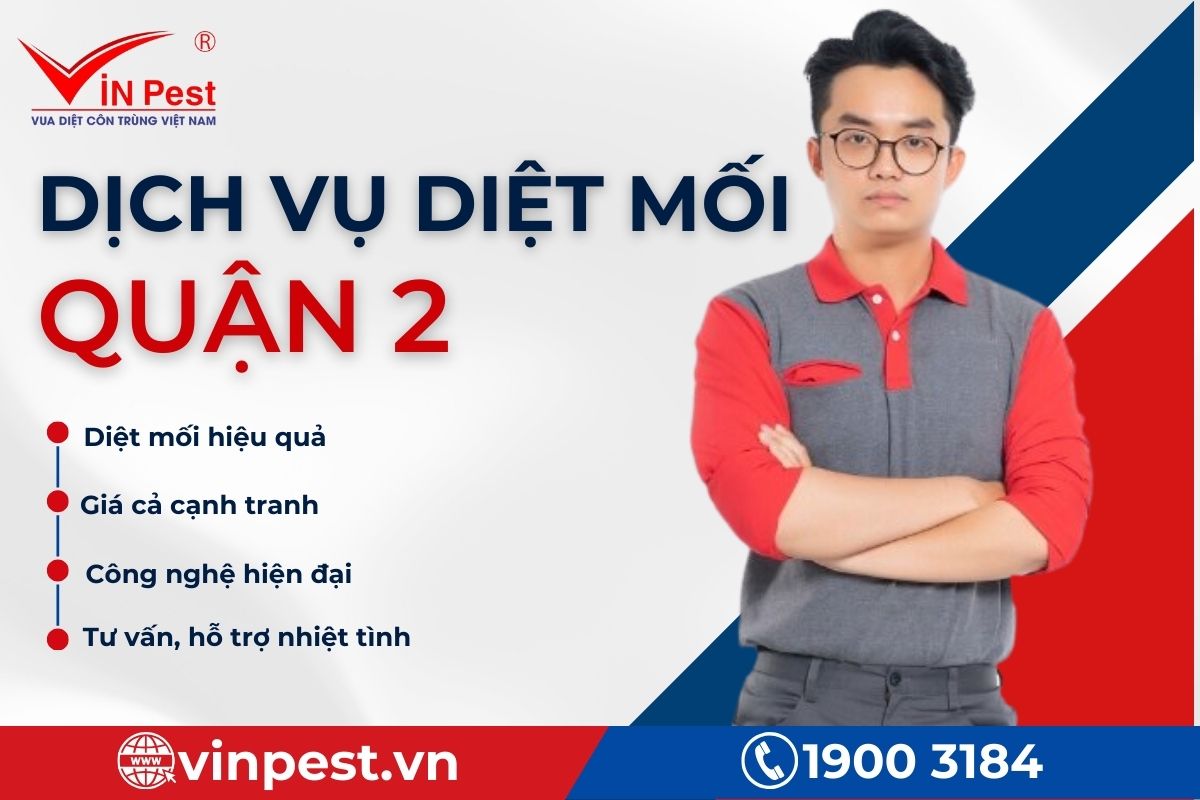 VinPest cam kết chất lượng dịch vụ diệt mối tại Quận 2