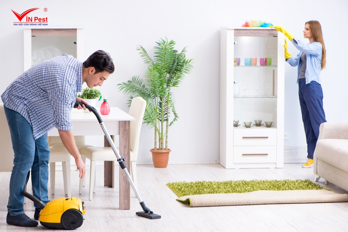 diệt mối tại cầu giấy