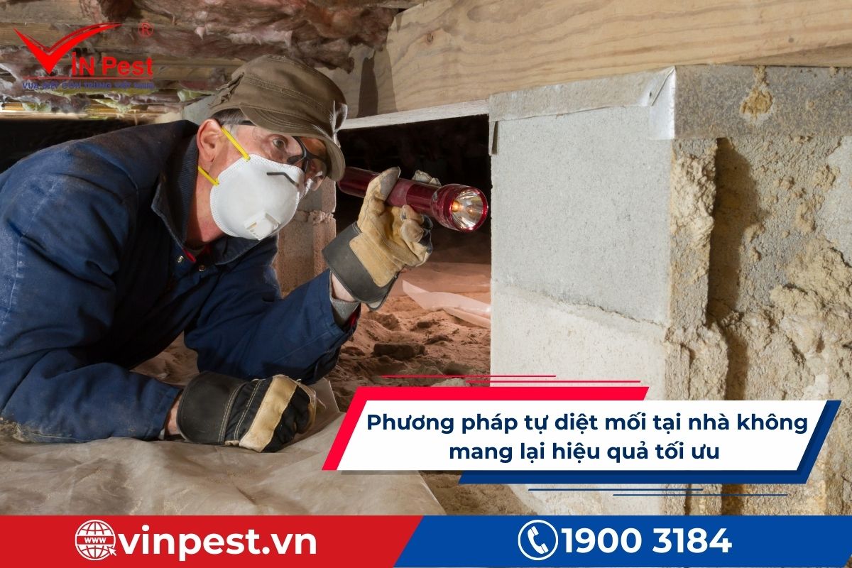 Nguyên nhân mối quay trở lại nhà ở Hai Bà Trưng