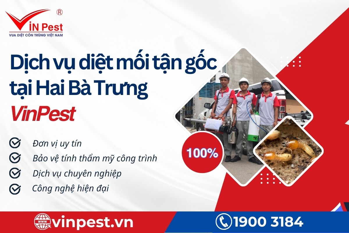 Lý do chọn dịch vụ diệt mối tận gốc tại Hai Bà Trưng?