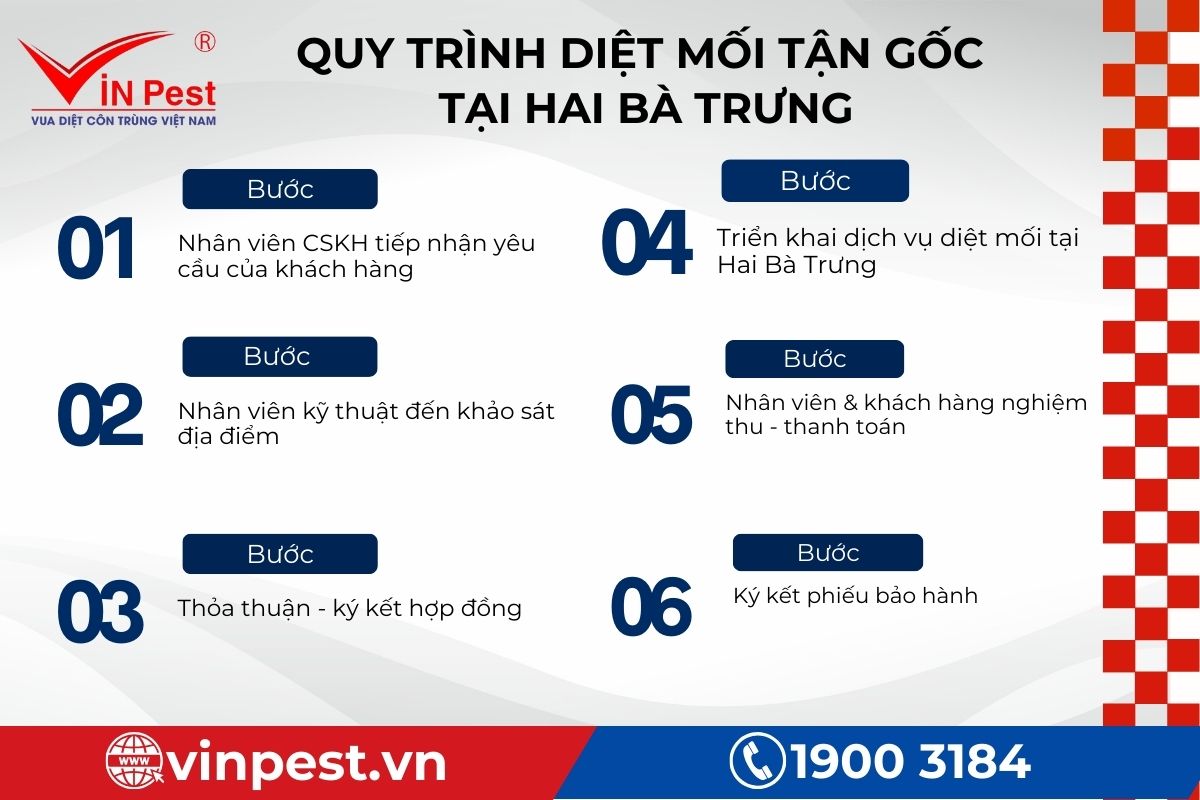 Quy trình diệt mối tận gốc tại Hai Bà Trưng của VinPest