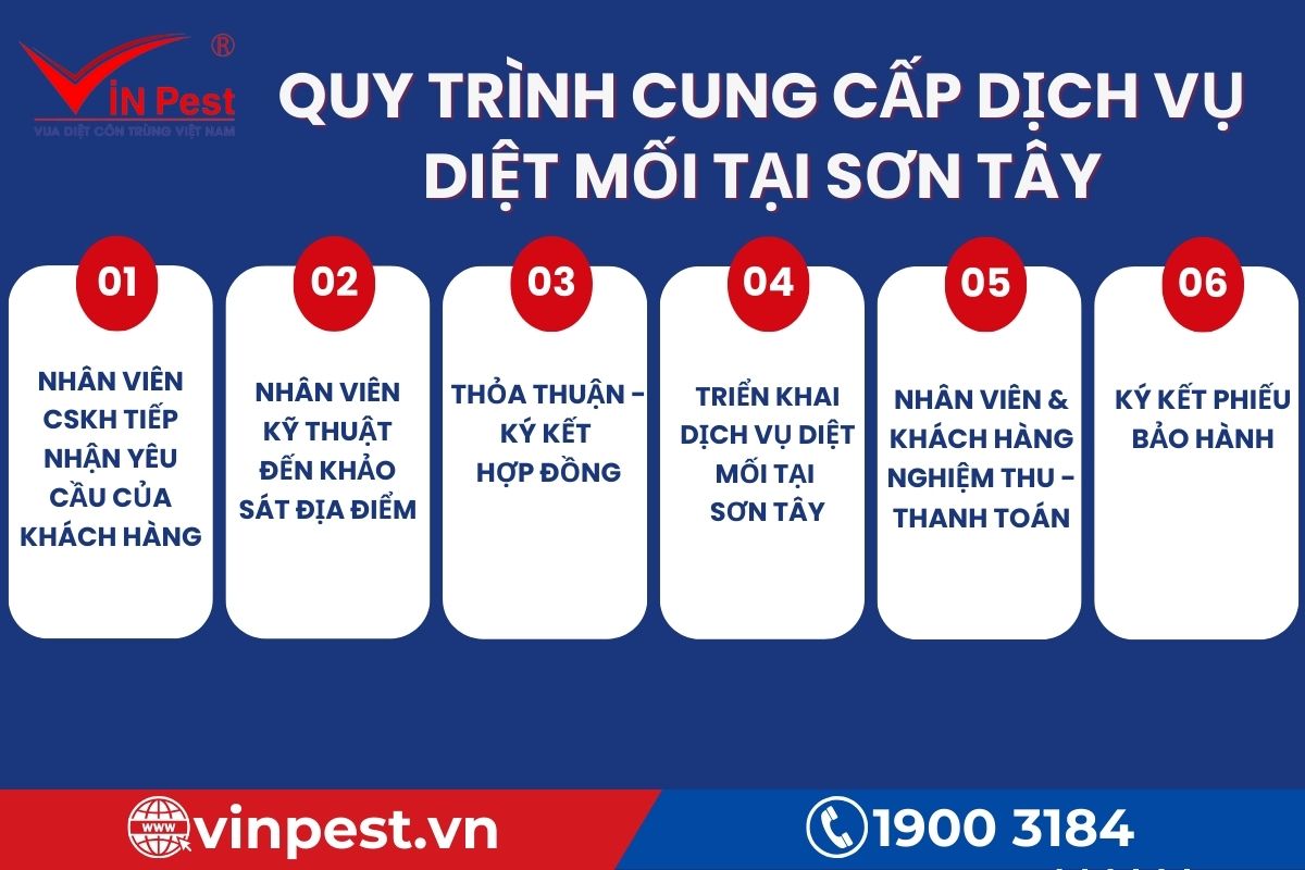 Quy trình VinPest cung cấp dịch vụ diệt mối tại Sơn Tây
