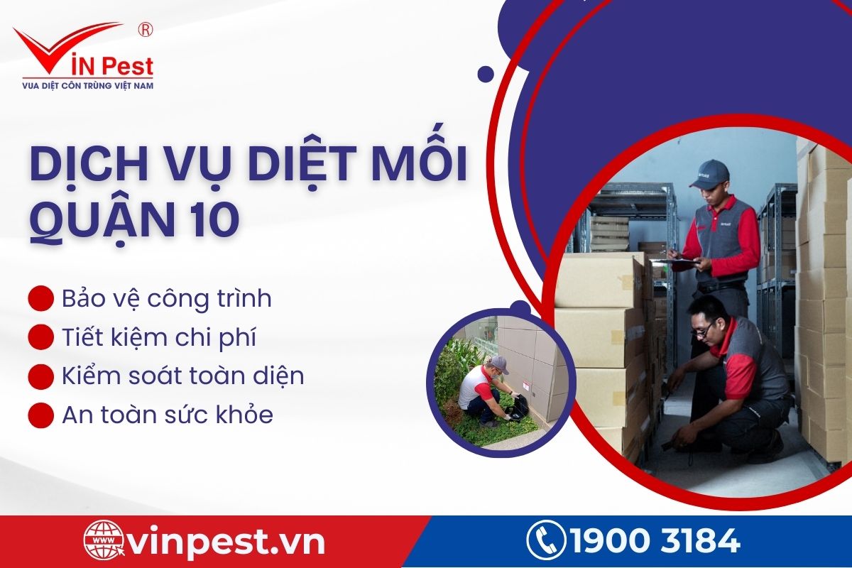 Lợi ích khách hàng khi sử dụng dịch vụ diệt mối Quận 10