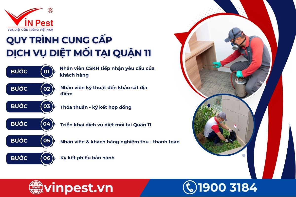6 bước cung cấp dịch vụ diệt mối Quận 11 tại VinPest