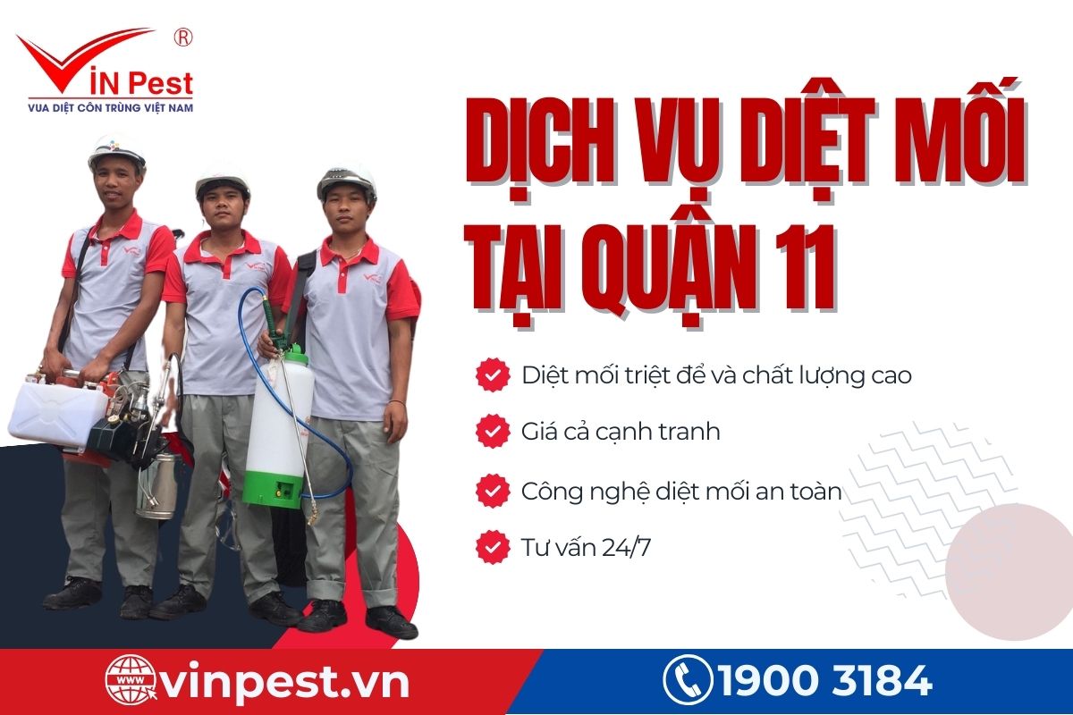 VinPest cam kết chất lượng dịch vụ diệt mối tại Quận 11