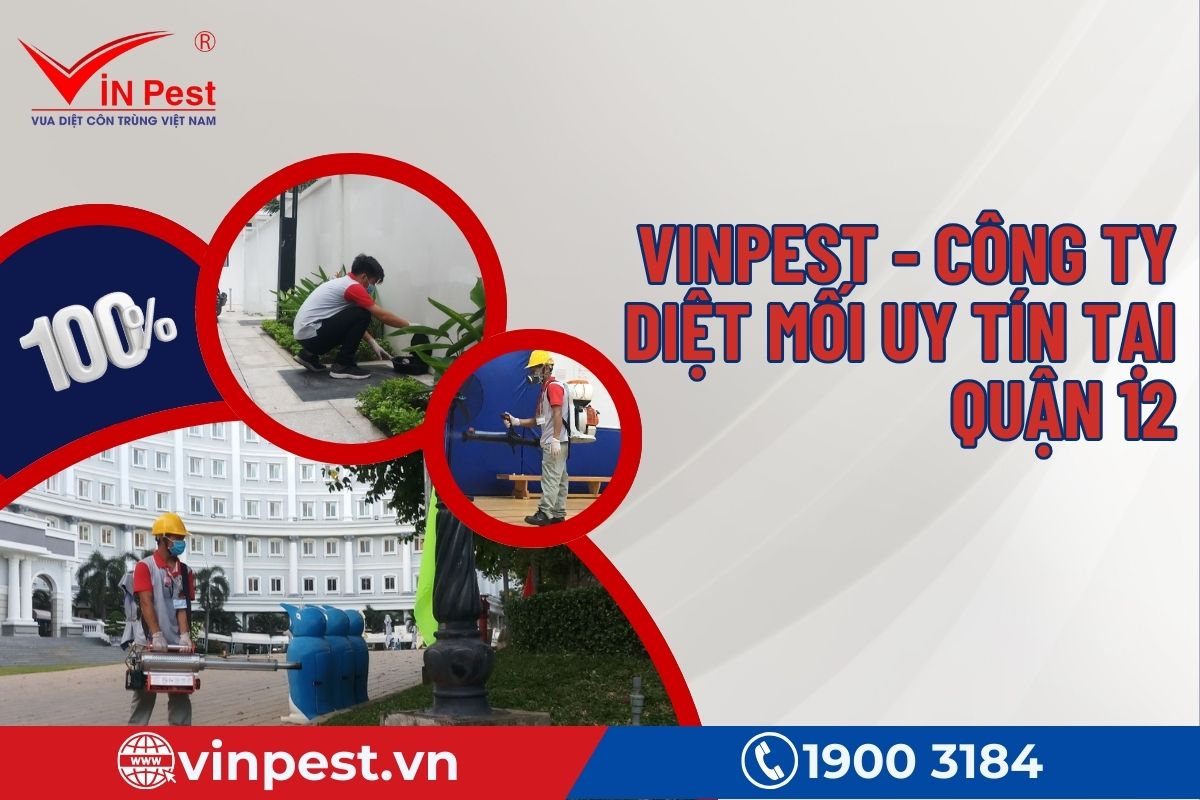 VinPest - Công ty cung cấp dịch vụ diệt mối Quận 12 uy tín nhất
