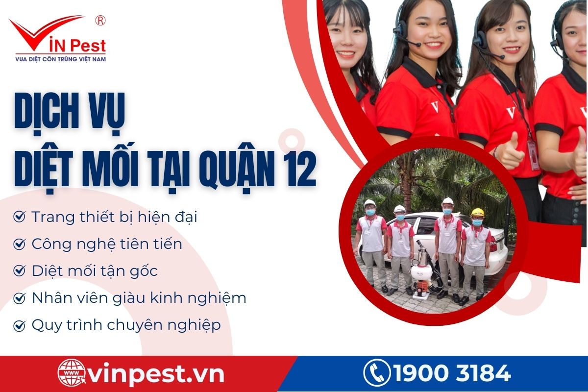 Đặc điểm nổi bật của dịch vụ diệt mối tại Quận 12