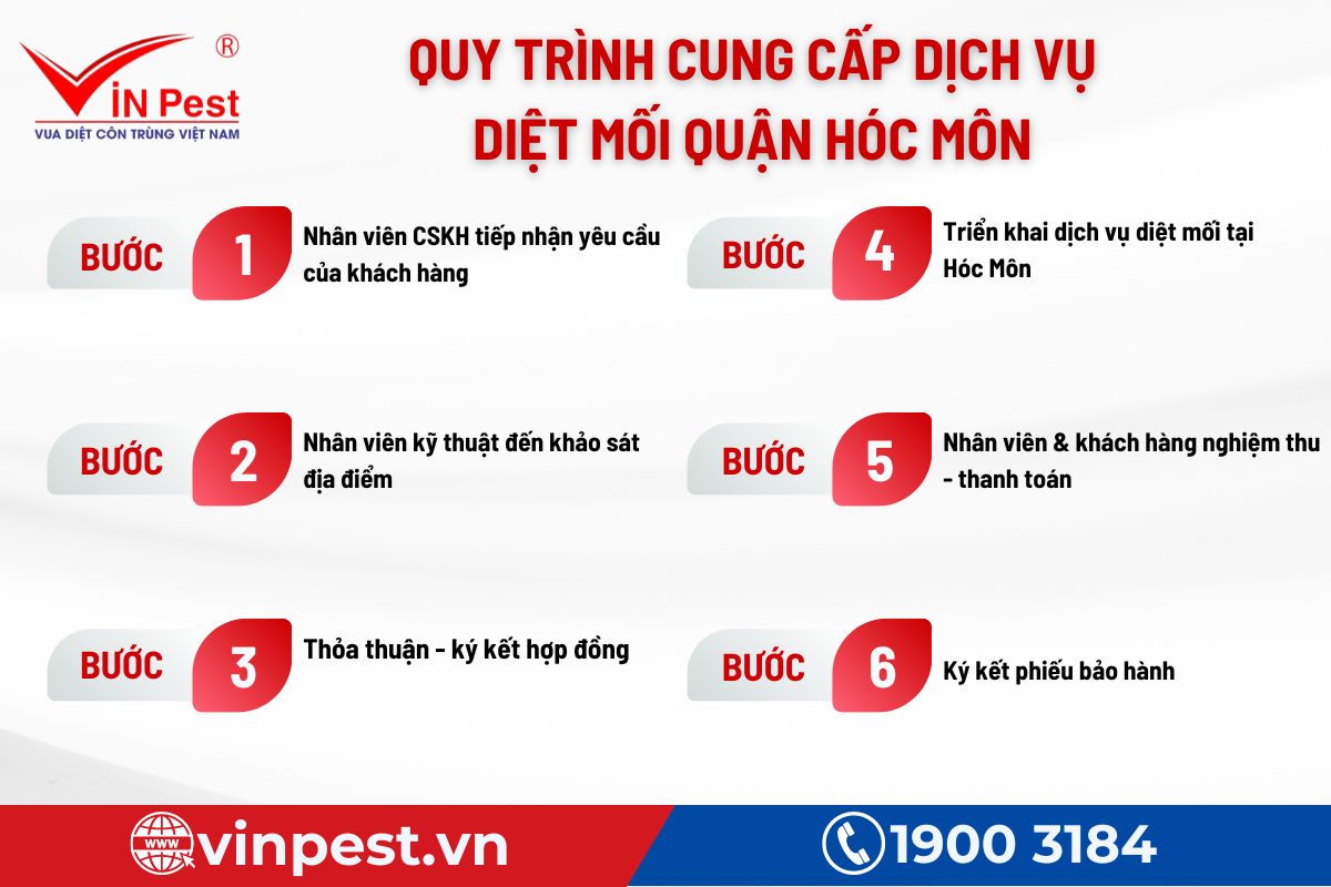 Quy trình 6 bước cung cấp dịch vụ diệt mối quận Hóc Môn