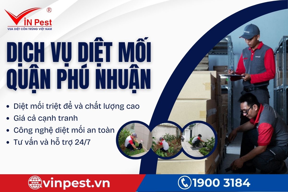 VinPest cam kết chất lượng dịch vụ diệt mối quận Phú Nhuận