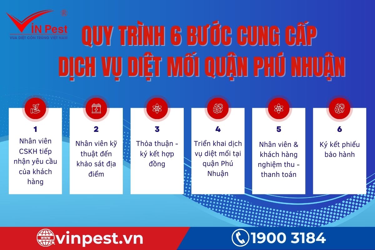 Quy trình 6 bước cung cấp dịch vụ diệt mối quận Phú Nhuận