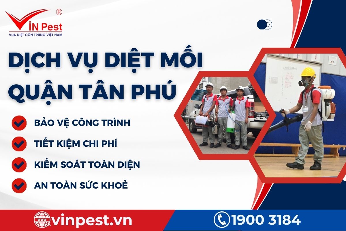 Lợi ích khách hàng sử dụng dịch vụ diệt mối quận Tân Phú