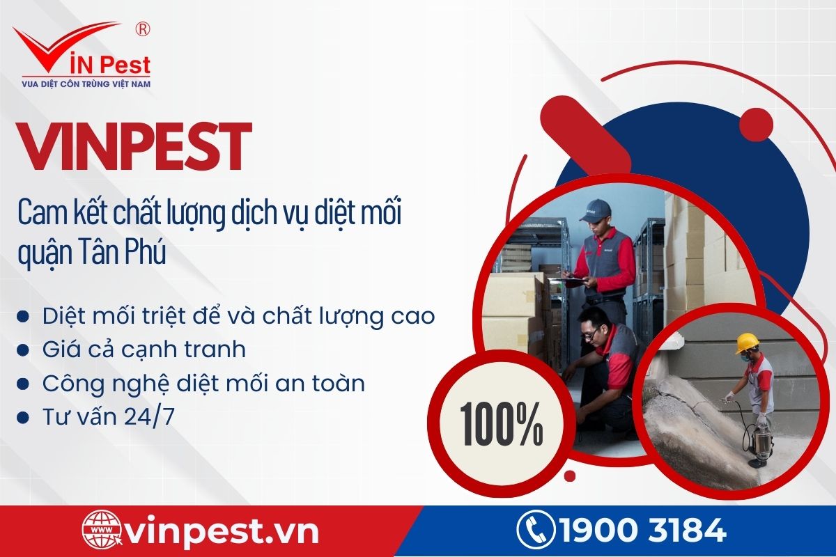 Cam kết chất lượng dịch vụ diệt mối quận Tân Phú