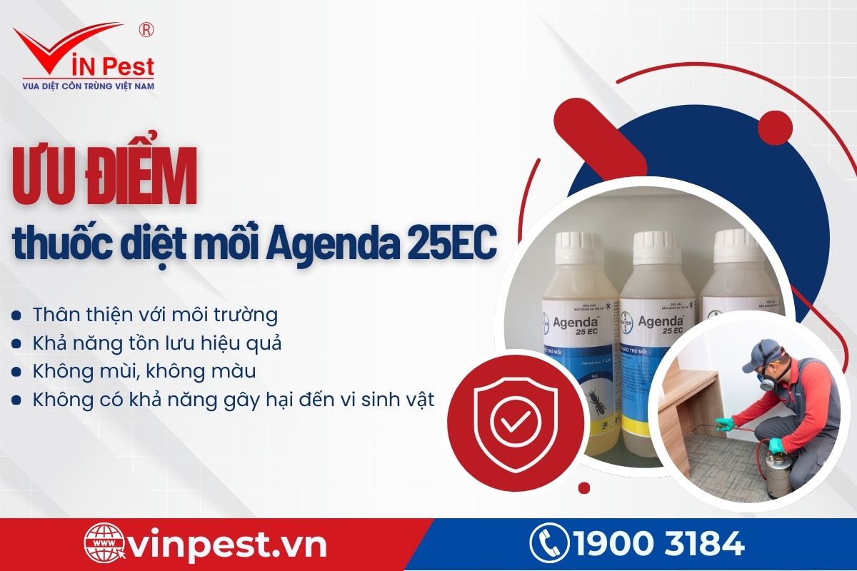 Ưu điểm nổi bật của thuốc diệt mối Agenda 25EC