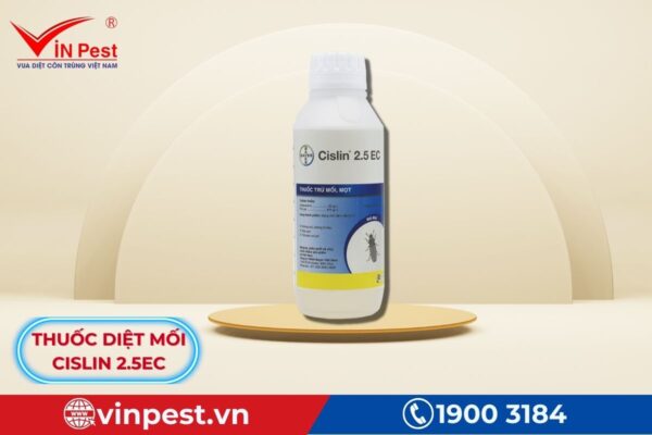 Thông tin chung về thuốc diệt mối cislin 2.5ec