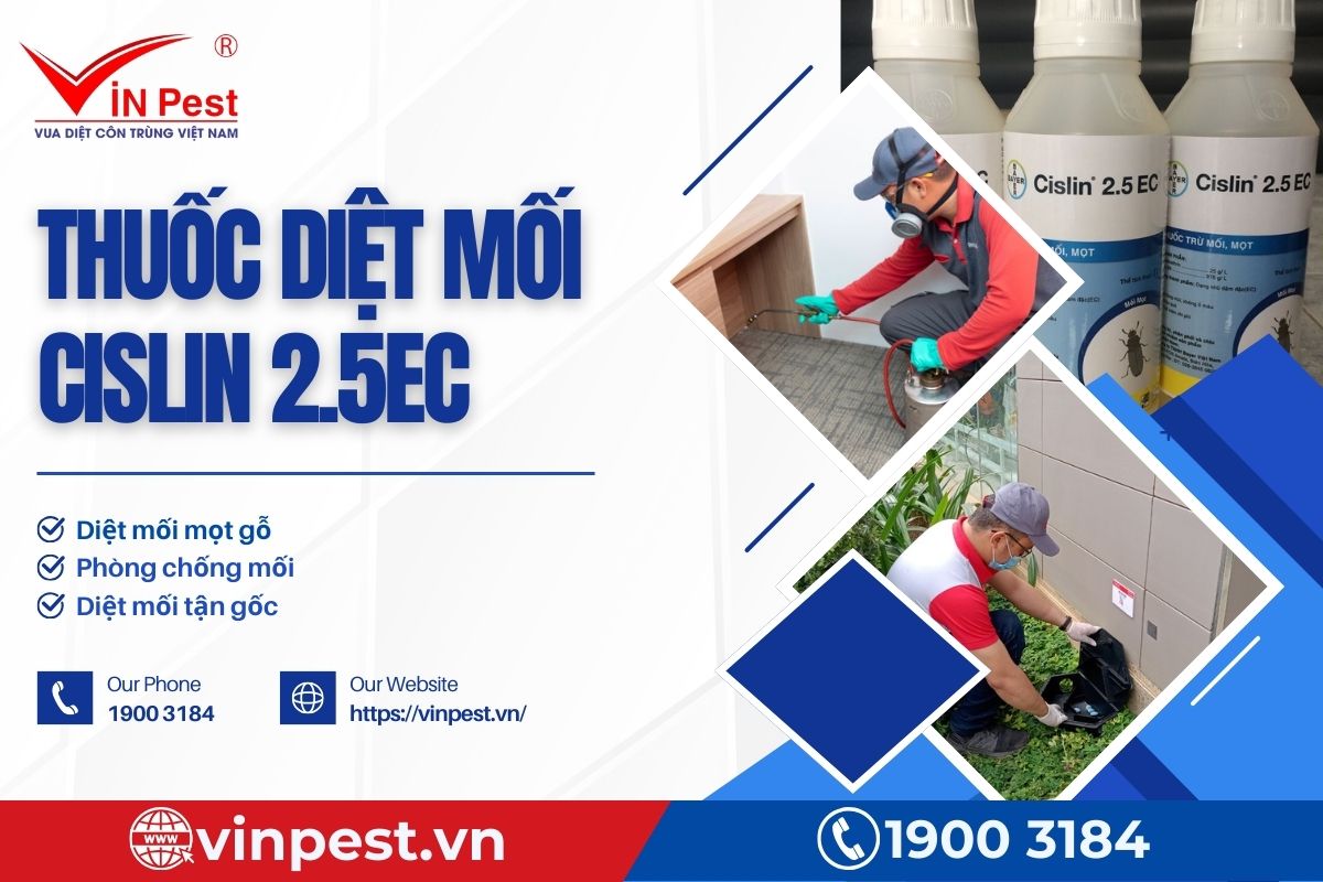 Tham khảo 3 trường hợp sử dụng thuốc Cislin 2.5EC