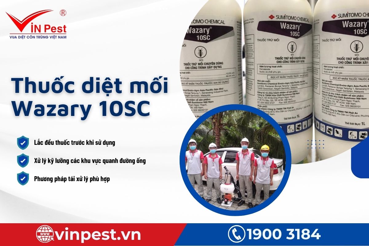 Hướng dẫn chi tiết cách sử dụng thuốc diệt mối Wazary 10SC