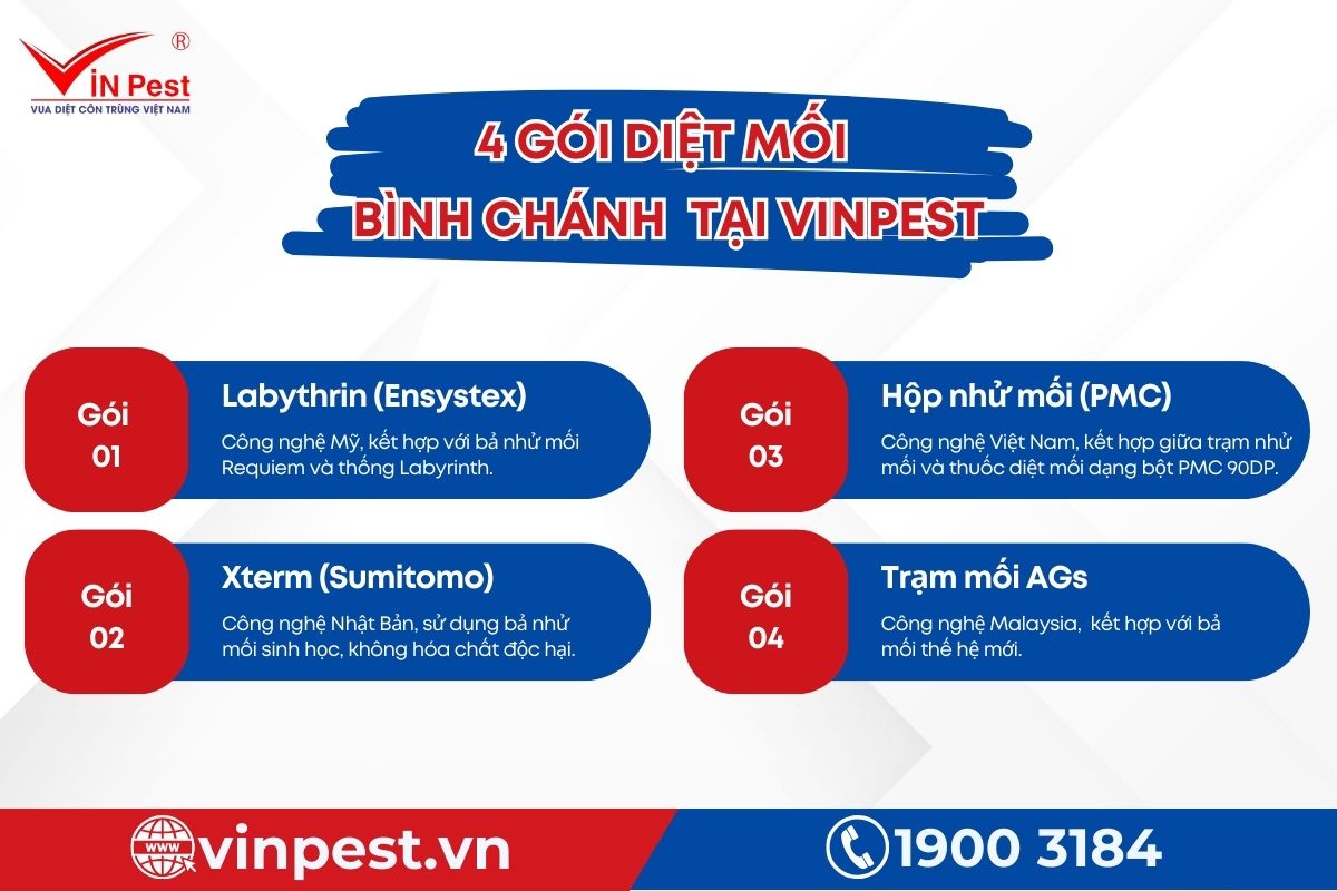 4 gói dịch vụ diệt mối của Vinpest