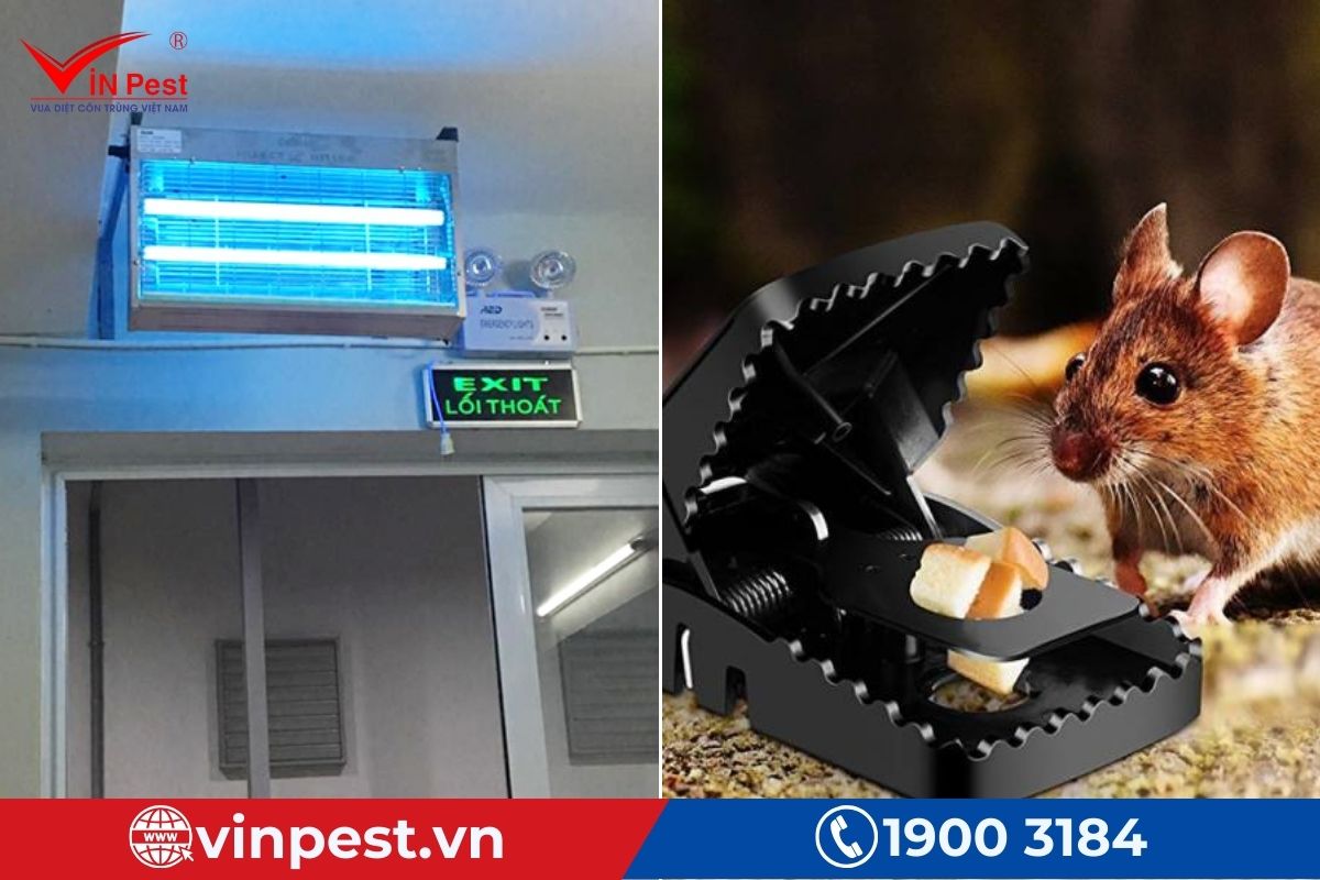 Các biện pháp diệt côn trùng Các biện pháp diệt côn trùng