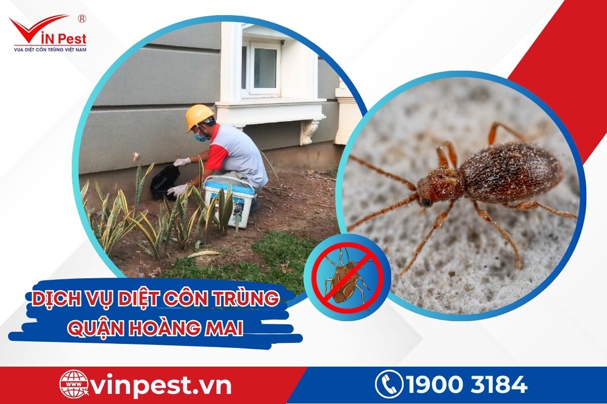 công nghệ diệt côn trùng tiên tiến công nghệ diệt côn trùng tiên tiến