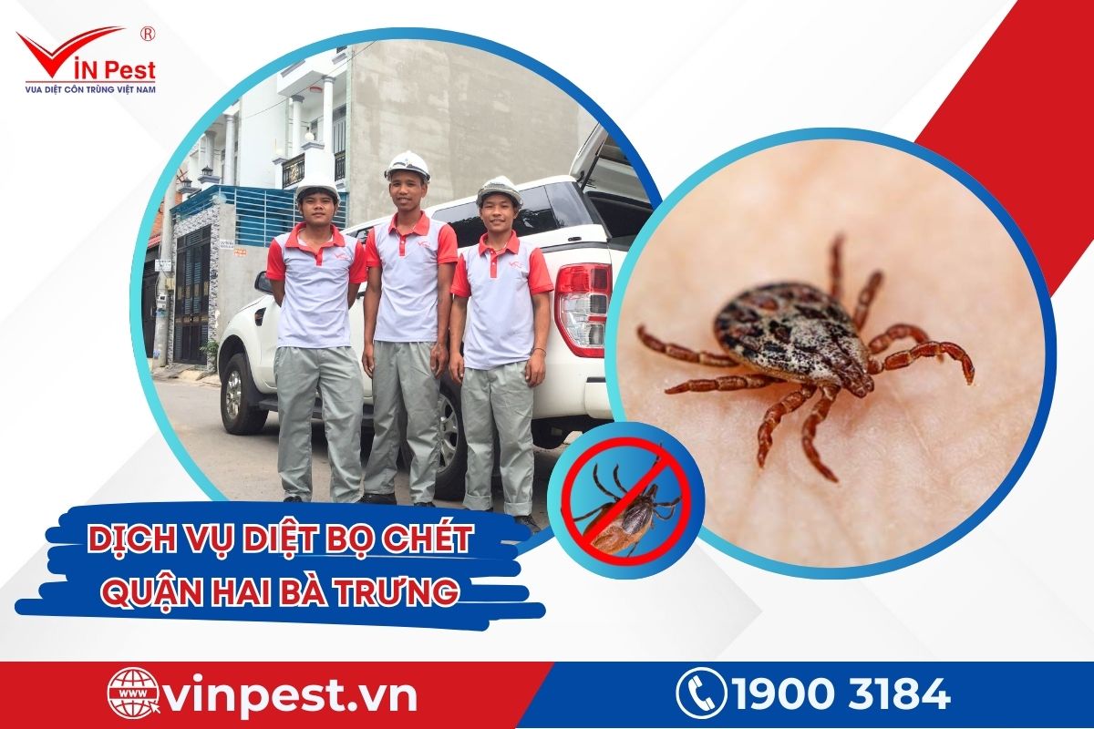 Dịch vụ diệt bọ chét tận gốc của Vinpest Dịch vụ diệt bọ chét tận gốc của Vinpest