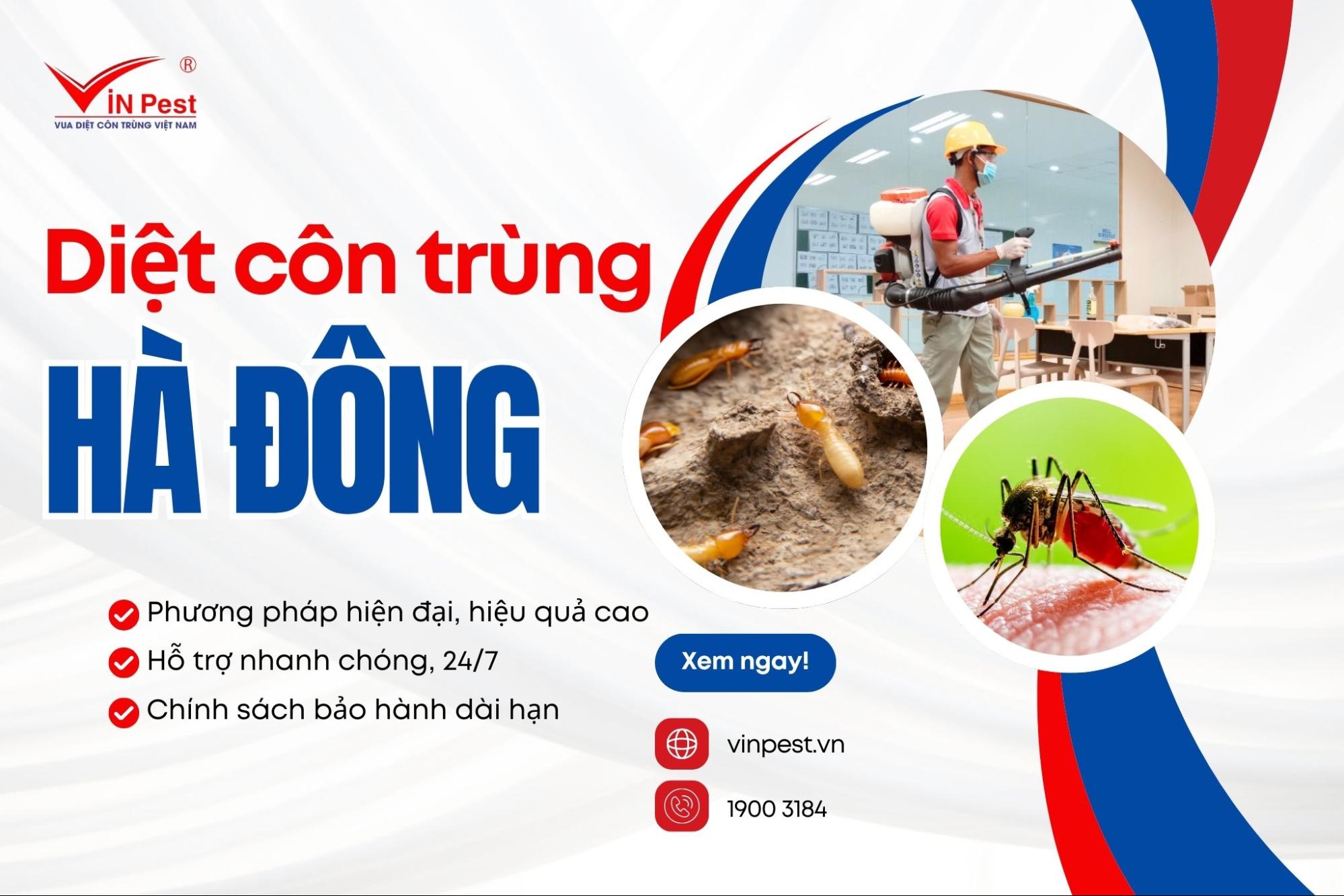 Dịch vụ diệt côn trùng quận Hà Đông tại VinPest