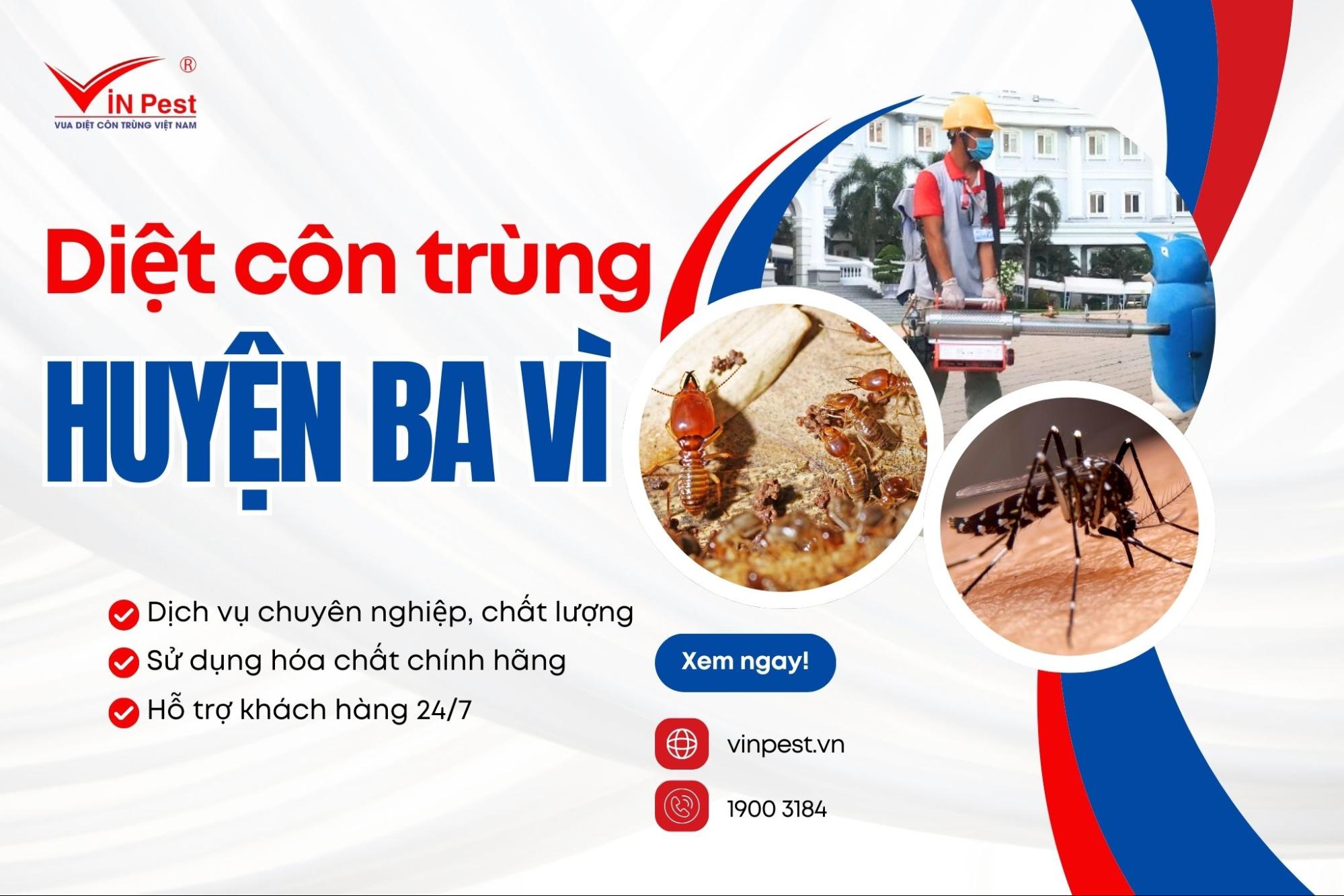Dịch vụ diệt côn trùng huyện Ba Vì của Vinpest