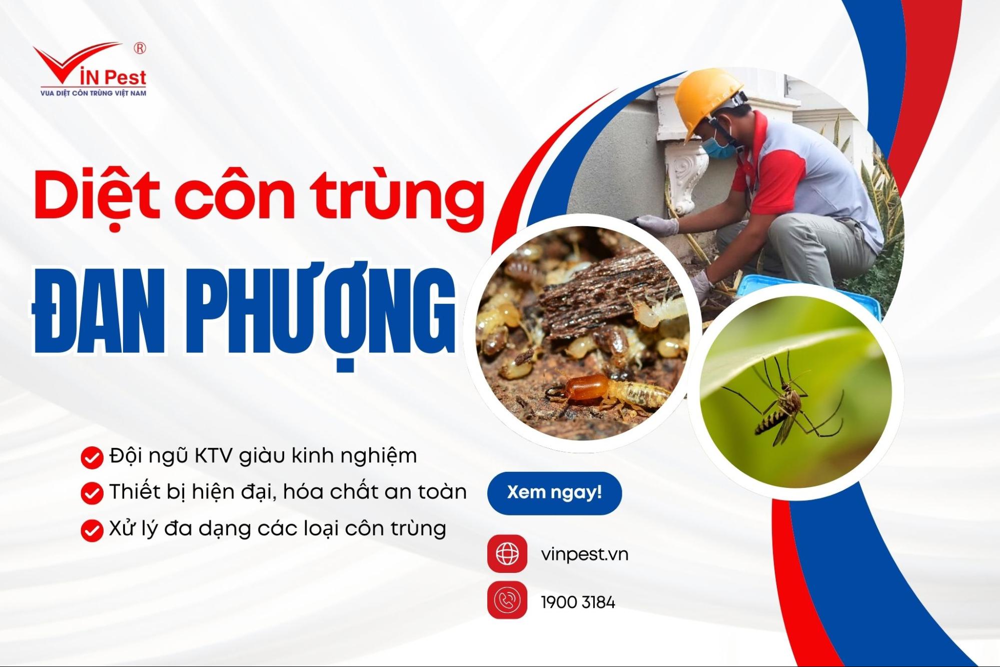 Dịch vụ diệt côn trùng huyện Đan Phượng của Vinpest