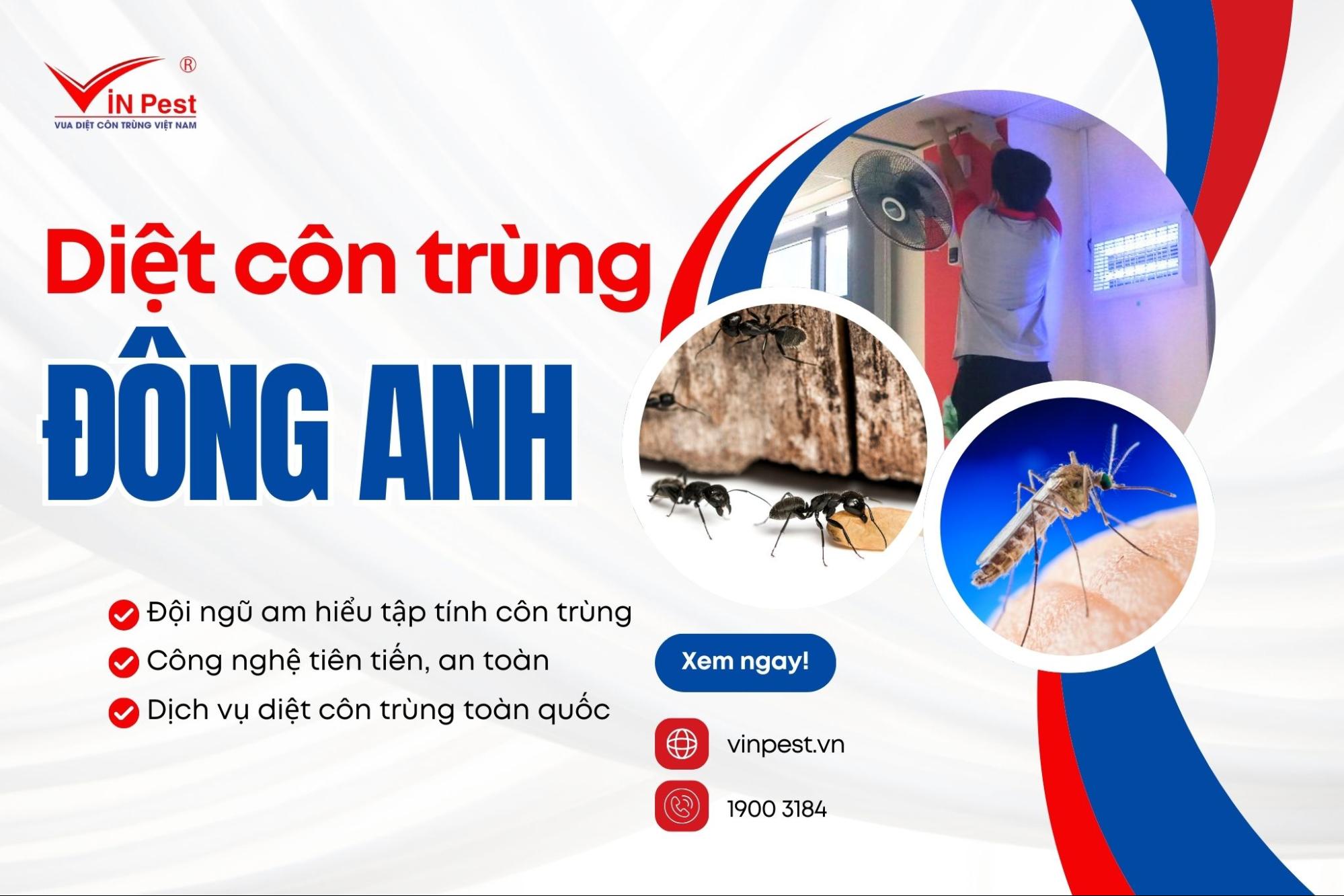 Dịch vụ diệt côn trùng huyện Đông Anh của Vinpest