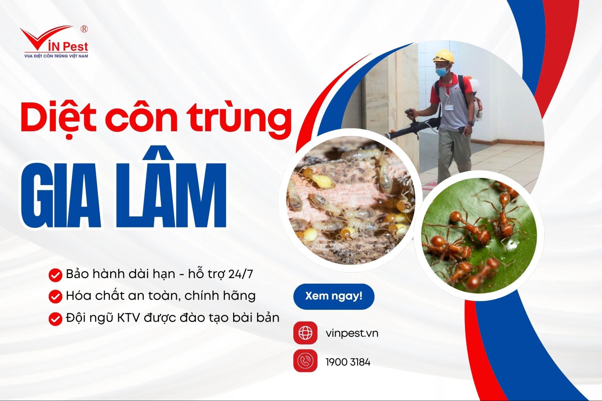 Dịch vụ diệt côn trùng huyện Gia Lâm của Vinpest