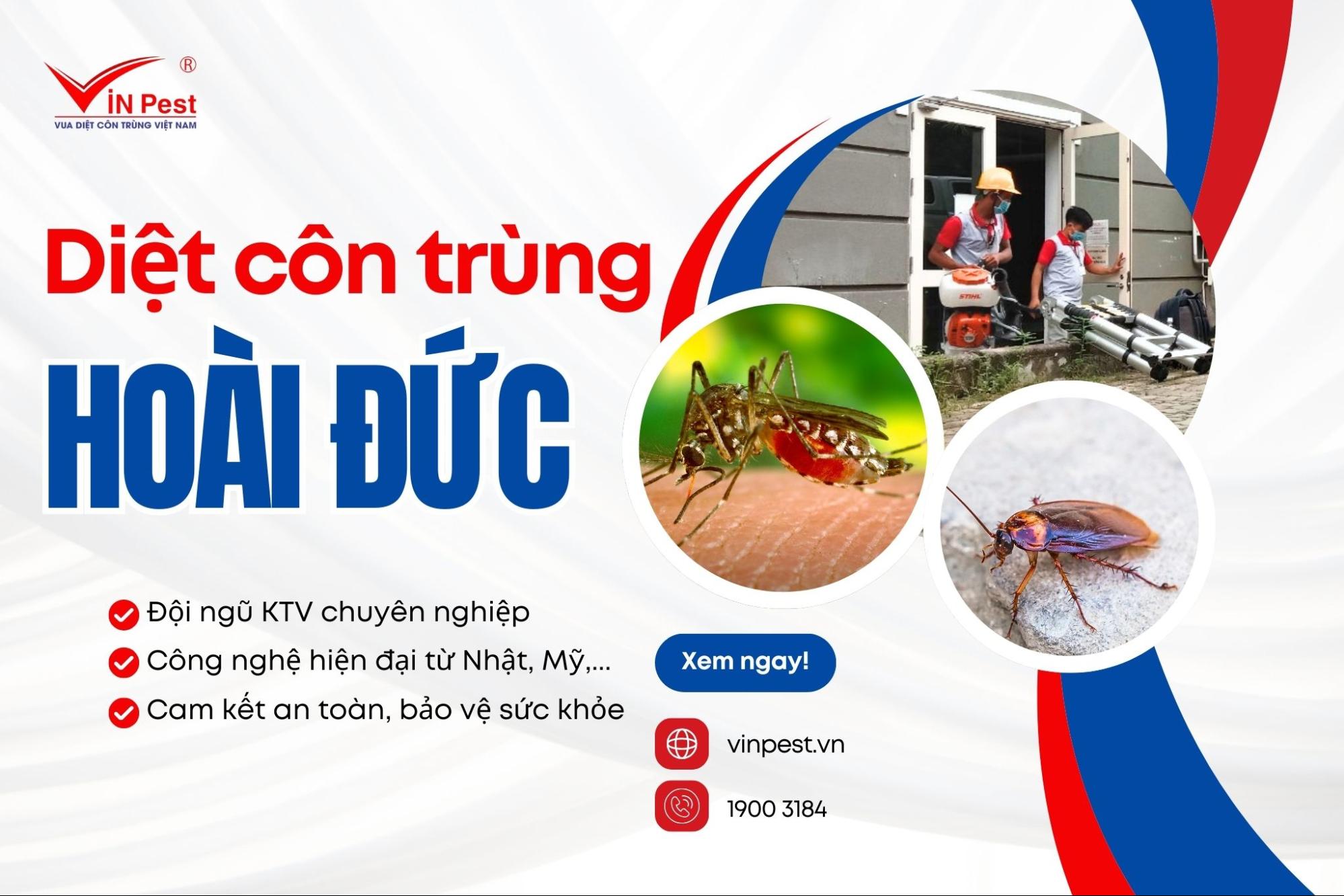 Dịch vụ diệt côn trùng huyện Hoài Đức của VinPest
