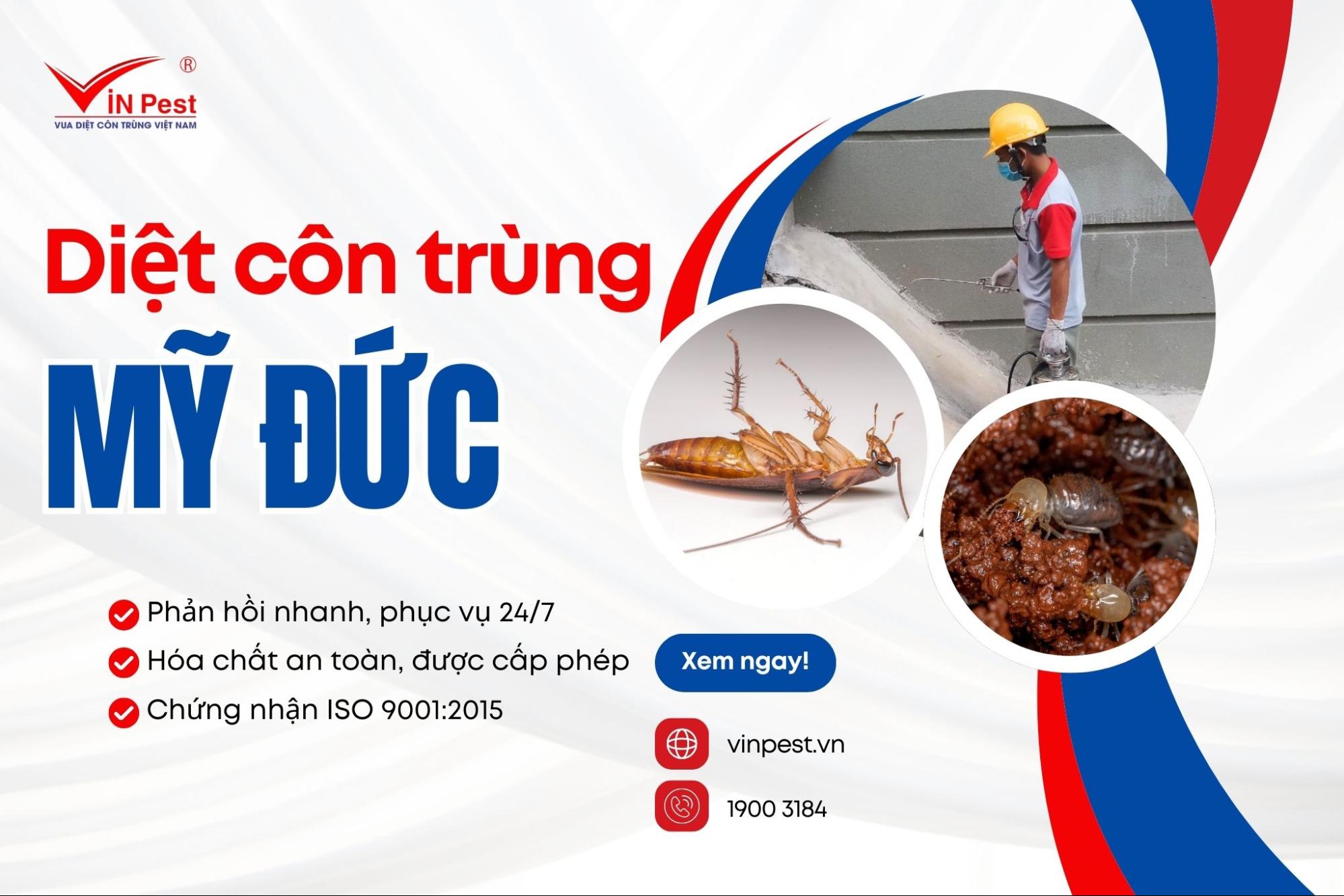 Dịch vụ diệt côn trùng huyện Mỹ Đức tại VinPest