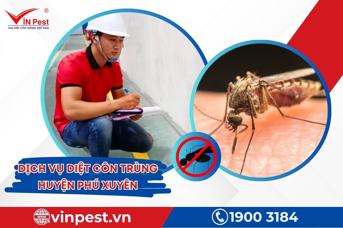 DỊch vụ diệt côn trùng Huyện Phú Xuyên Của Vinpest DỊch vụ diệt côn trùng Huyện Phú Xuyên Của Vinpest