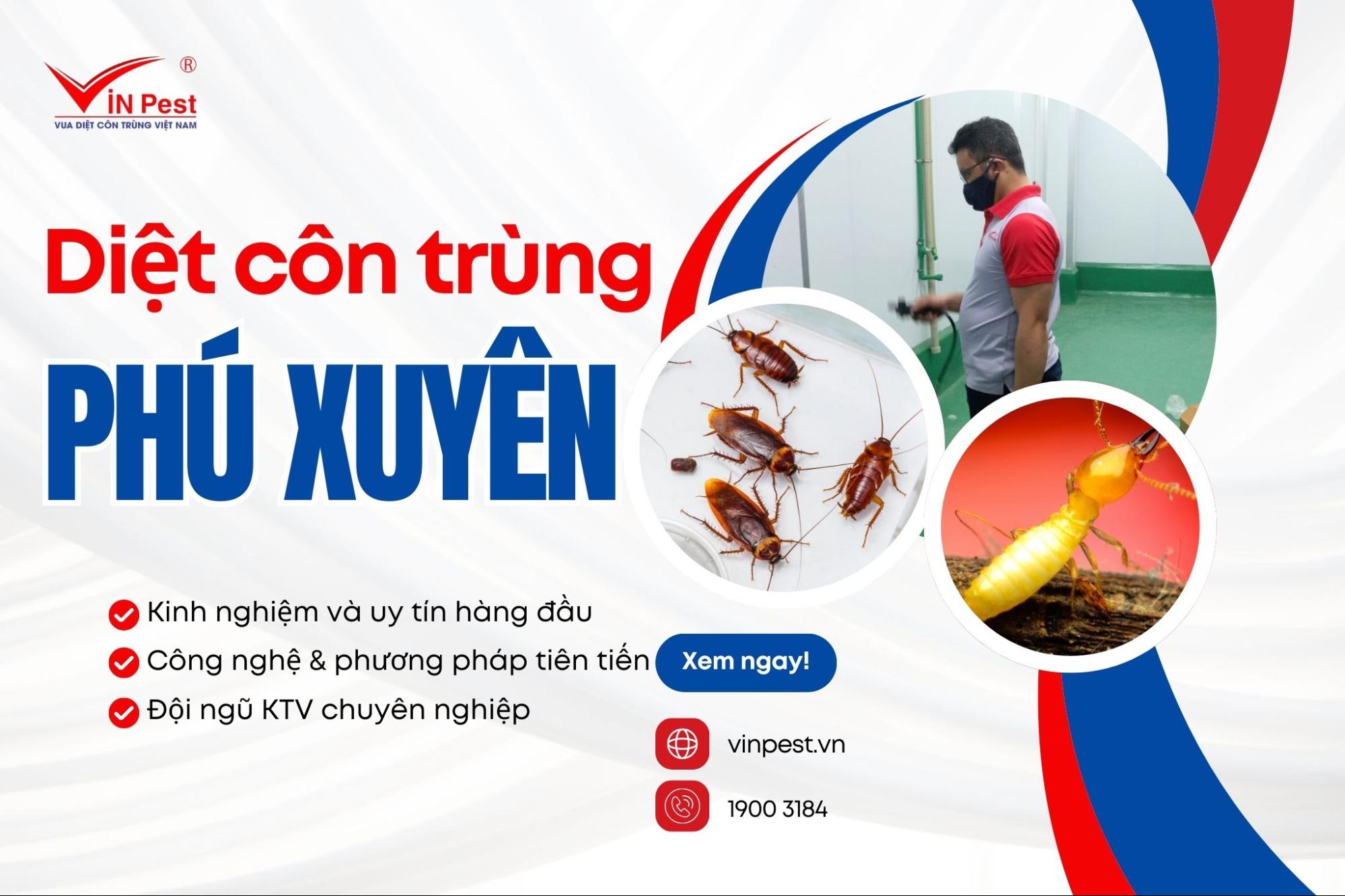 DỊch vụ diệt côn trùng Huyện Phú Xuyên Của Vinpest