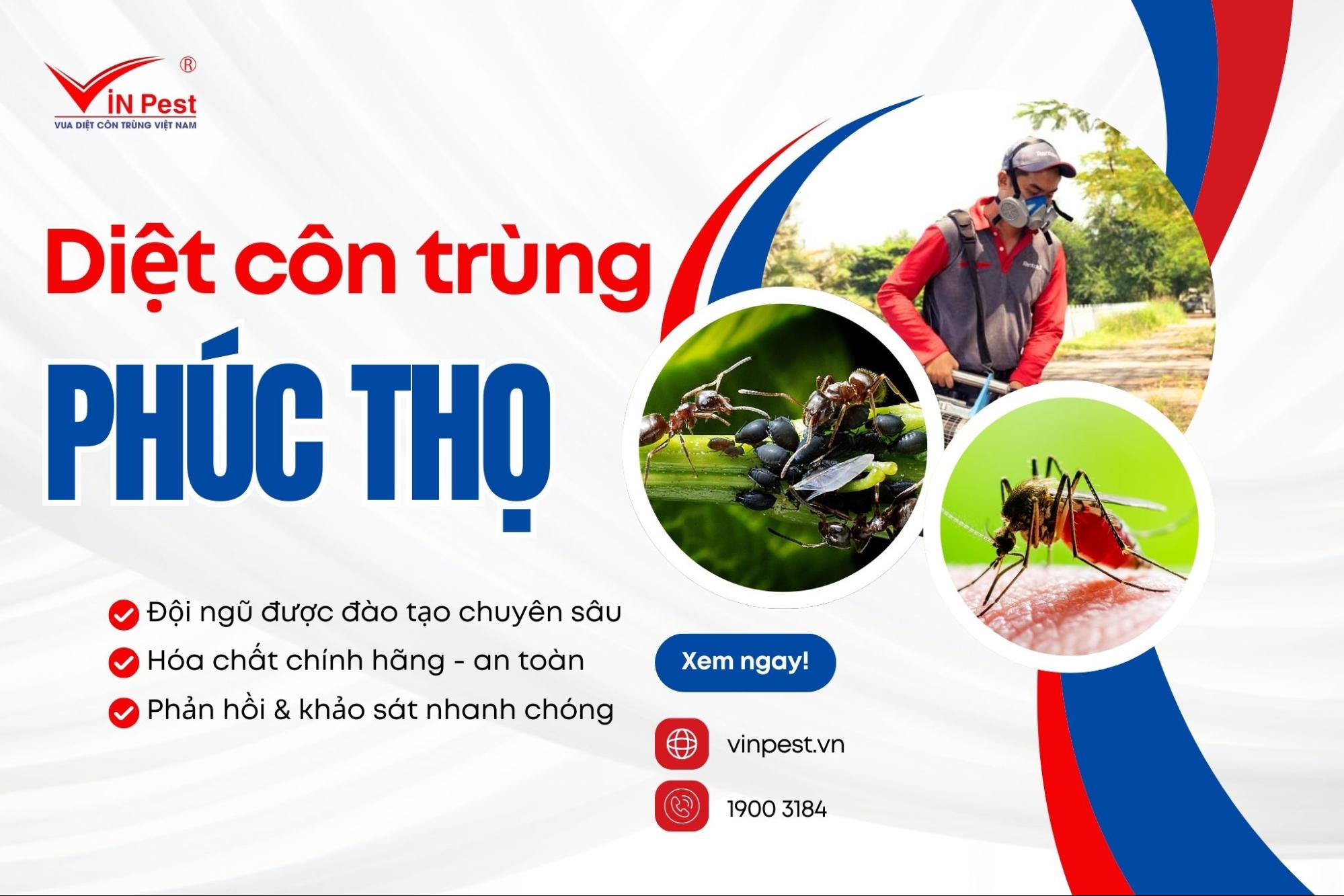 Dịch vụ diệt côn trùng huyện Phúc Thọ của Vinpest