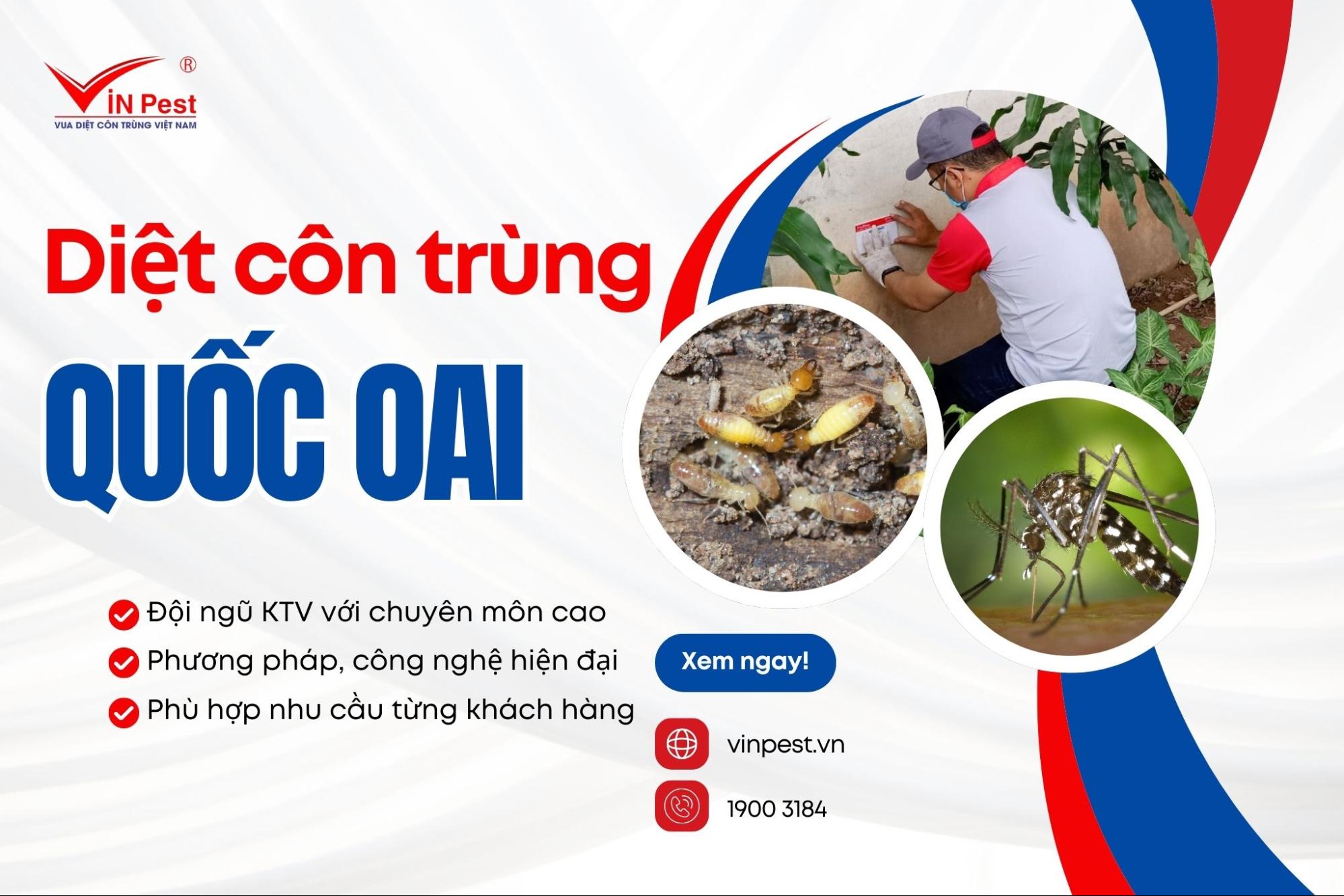 dịch vụ diệt côn trùng huyện Quốc Oai của Vinpest