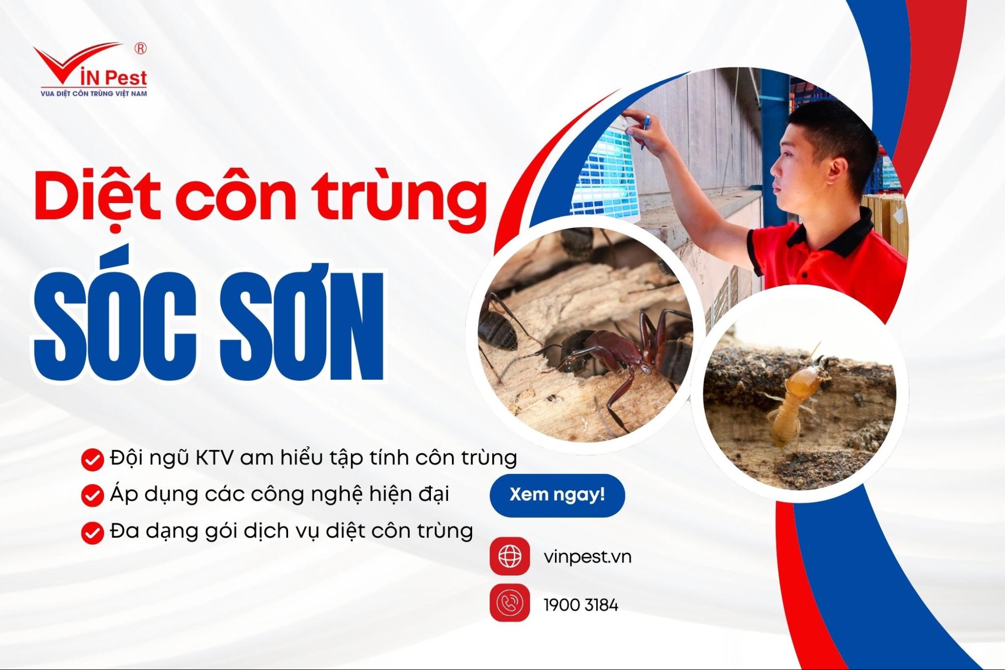 Dịch vụ diệt côn trùng huyện Sóc Sơn tại VinPest