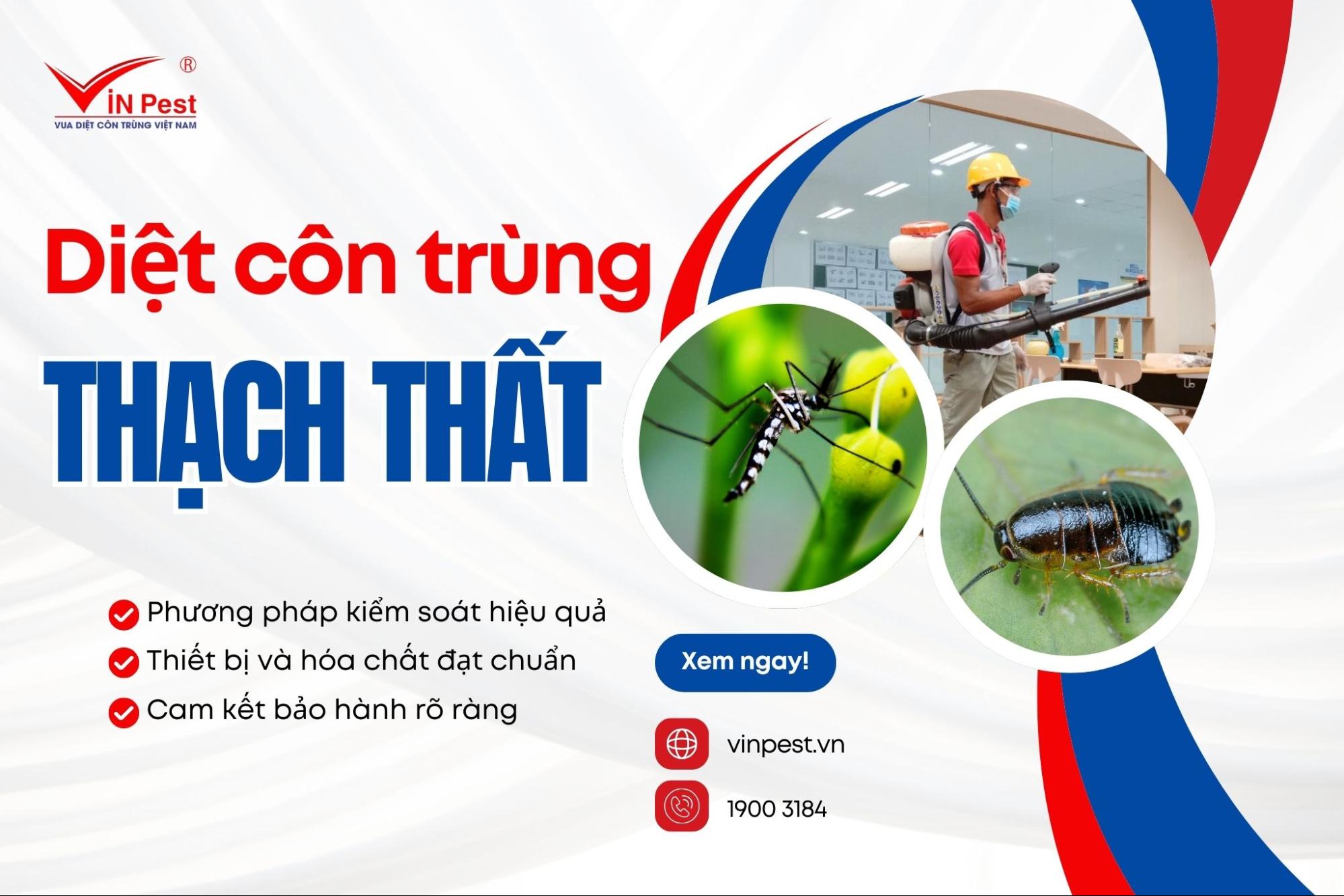 dịch vụ diệt côn trùng huyện Thạch Thất của Vinpest