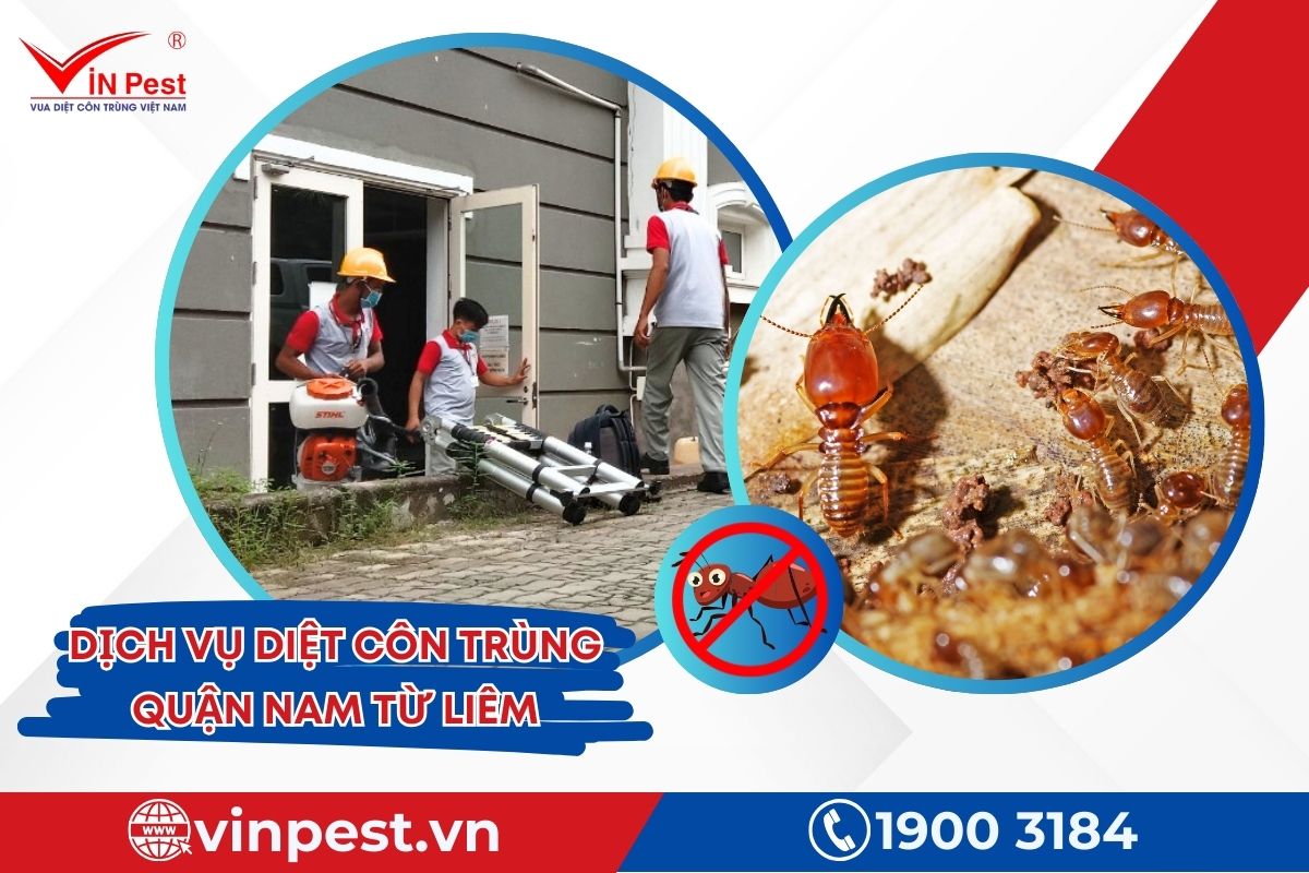 Dịch vụ diệt côn trùng quận Nam Từ Liêm của Vinpest Dịch vụ diệt côn trùng quận Nam Từ Liêm của Vinpest