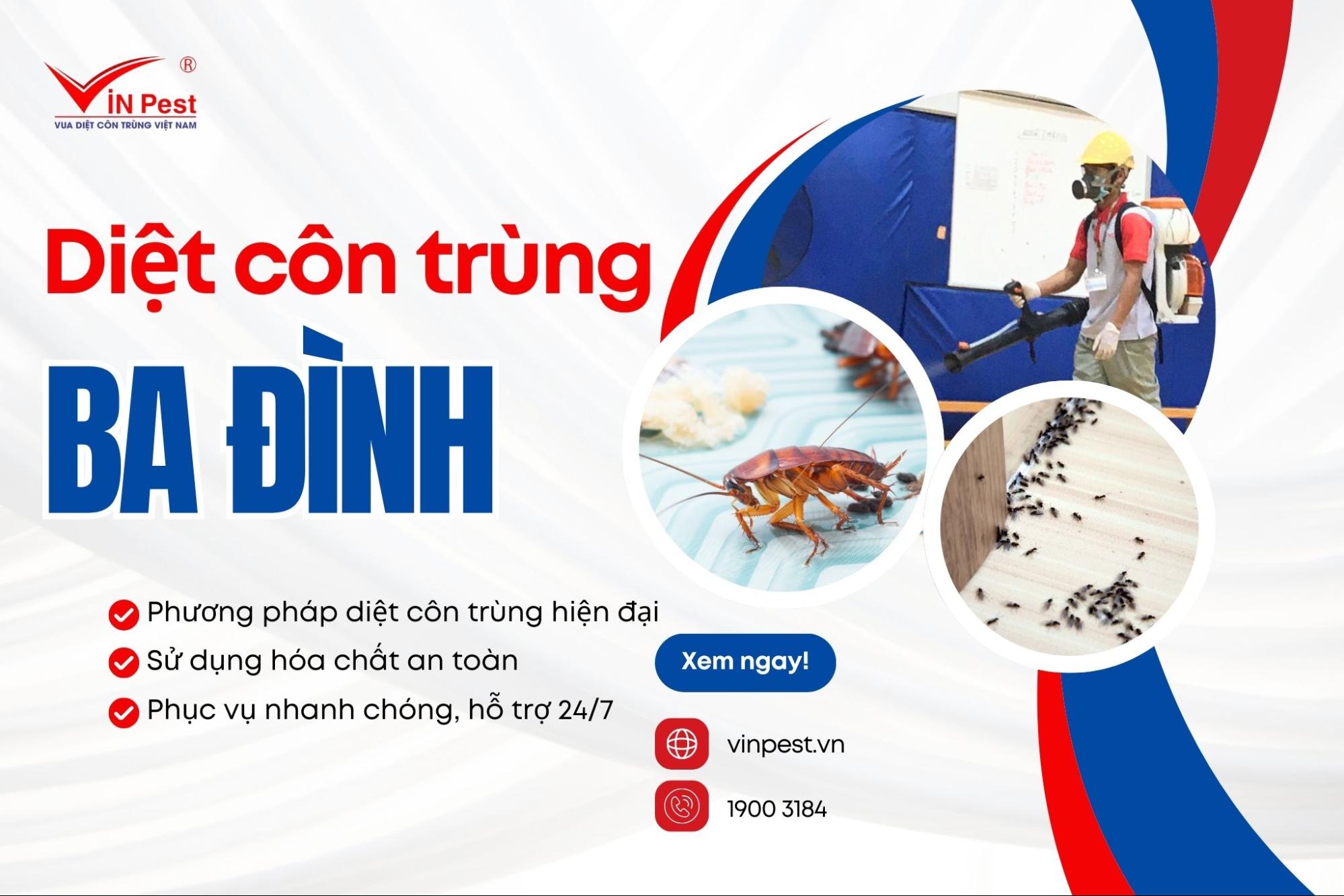 Dịch vụ diệt côn trùng quận Ba Đình của Vinpest